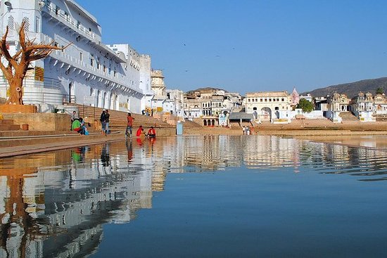 tour packages to golden triangle in india