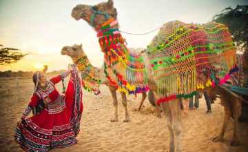 Rajasthan Tour Packages